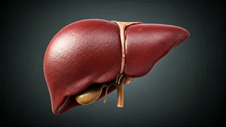 Iron Overload: 4 Signs You Need a Checkup