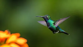 Related Stories banner