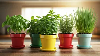 Five Pots Can Make Your Meals Fresher