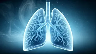 AIIMS Doctor on Autoimmune Disease Flares: Cold, Pollution's Role