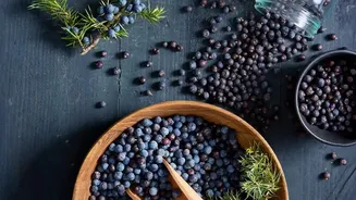 How Functional Superfoods Work To Reduce Joint Friction And Maintain Optimal Mobility