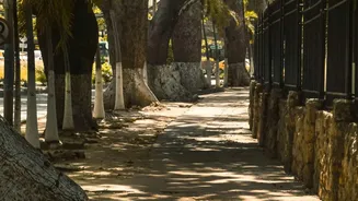 Budget Staycation Blueprint: Tour Pondicherry French Quarter On A Weekend Trip
