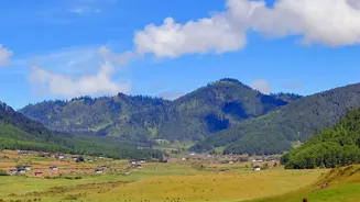 Secure mandatory Inner Line Permits for sustainable homestay experiences in Ziro Valley