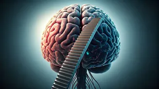 Ascend to a Sharper Mind: How Stair Climbing Supercharges Your Brainpower!