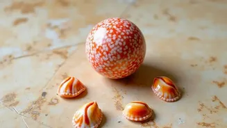 Shell Planters Need Regular Checks for Cracks and Mould