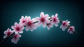 Related Stories banner