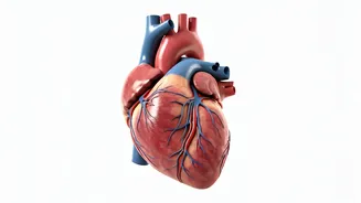 7 Heart-Healthy Exercises for a Fit You!