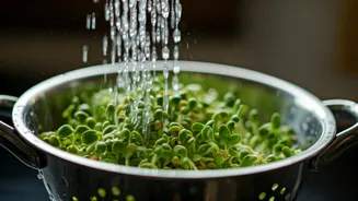The Safer Sprouts Trend Everyone Should Know