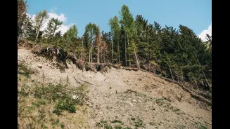 Understanding Landslides: Causes, Impacts, and Safety Measures