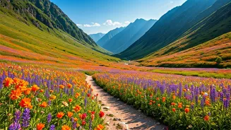Valley Of Flowers Is A Soft Adventure Dream