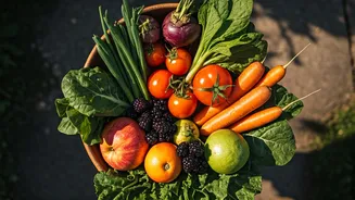 Unlock Longevity: The Secrets of the World's Blue Zones Revealed