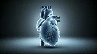 Vitamin K: Your Body's Silent Guardian