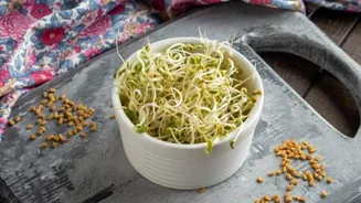 Why fenugreek sprouts are a breakfast superfood