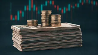 Pidilite Industries' Q2 Profit Analyzed