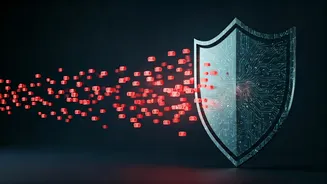 Understanding Website Security: How Bot Protection Safeguards Your Online Experience