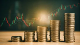 Flexi-Cap Funds: Your Guide to Investing in India