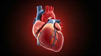 Improve Circulation with Diet and Habits