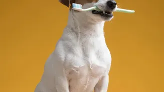 Include Allergies and Relevant Veterinary Instructions When Confirmed
