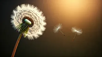 A Child's Whispered Doubt: "I Think My Mom Doesn't Love Me"