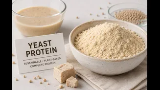 National Nutrition Week: Could Yeast Protein Change How We Add Protein To Everyday Diets?