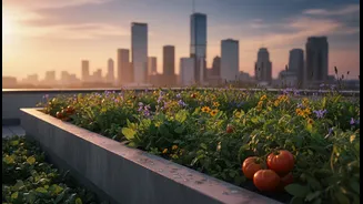 Rooftop Gardens Offer A Refreshing Escape From Concrete Heat In Busy Cities