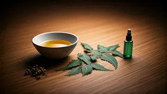 5 Natural Termite (Deemak) Remedies: Save Your Home Without Harsh Chemicals