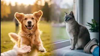 Study Explores Why Dogs And Cats Influence Human Mood Differently