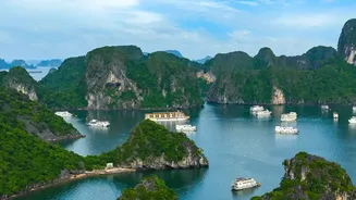 Vietnam's Holiday Island Sees Tourism Revenue Rise 46%