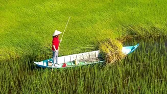 The New Cross-Country Rice Survey: Why Attention Is Turning To Shared Crop Data
