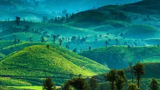 From Ooty to Rameswaram: Eight Tamil Nadu Monsoon Escapes