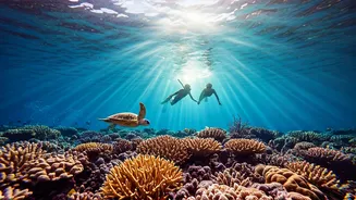 Watch Young Couples Glide With Marine Life In Maldives