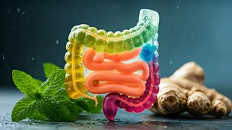Gut-Friendly Monsoon Eating Is The Seasonal Survival Kit