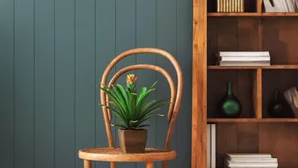 The Curved-Furniture Trend Rebalance Puts Avoiding Fully Rounded Rooms Back In Focus