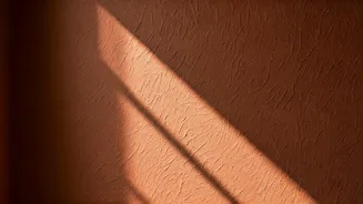 Earthy Terracotta Color Washes Redefine Accent Wall Themes