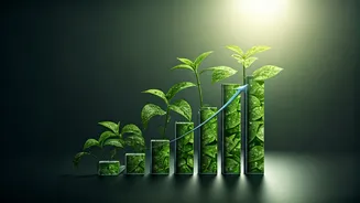 Sustainability Auditing Skills Guarantee Quick Transition Into Climate Tech