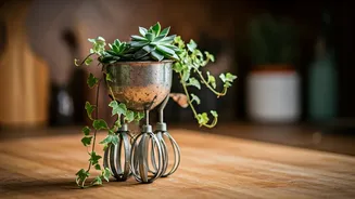 Unlock Hidden Potential: Clever Repurposing Ideas for Old Kitchen Gadgets!