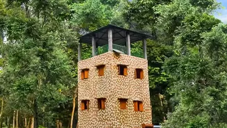 How Eco Friendly Resorts Make Wayanad A Top Sustainable Weekend Escape