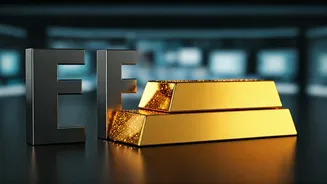 ETFs Vs Digital Gold Is A Must-Know Topic