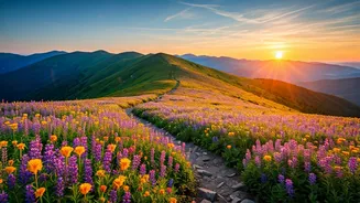 Flower Trails Are The Post-Monsoon Travel Fantasy