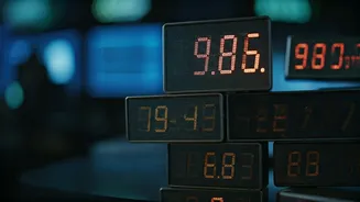 Indian Stock Market: Trends and Key Players