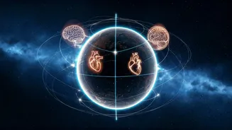 Related Stories banner