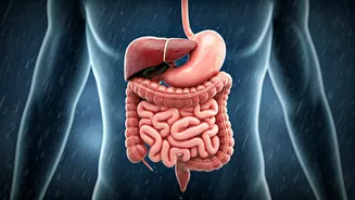Digestion Issues Are Back On Monsoon Watch