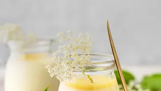 Cooking With Cardamom: Creamy Custard With Cardamom To Try