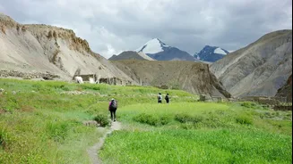 Winter Treks with Kids: Safety Tips & Best Routes in India