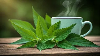 Unlock Wellness: The Power of Nettle Leaf Tea for Your Health