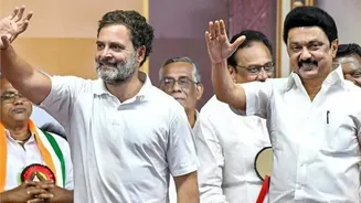 Related Stories banner