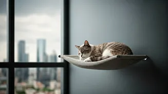 High-Rise Felines Live Large On Custom Mounted Wall Hammocks