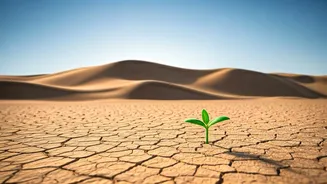 Sam Dunes Are The Desert Plan Nobody Expected