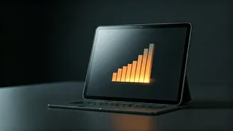 Foreign Traveler's Unfiltered Indian City Ratings Spark Widespread Debate