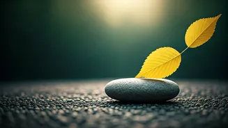 Embrace Life's Unfairness: Gaur Gopal Das's Path to Having It All